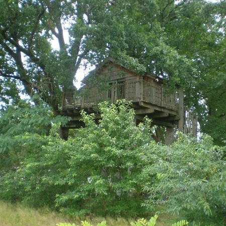 Cabane Perchee Solférino 외부 사진