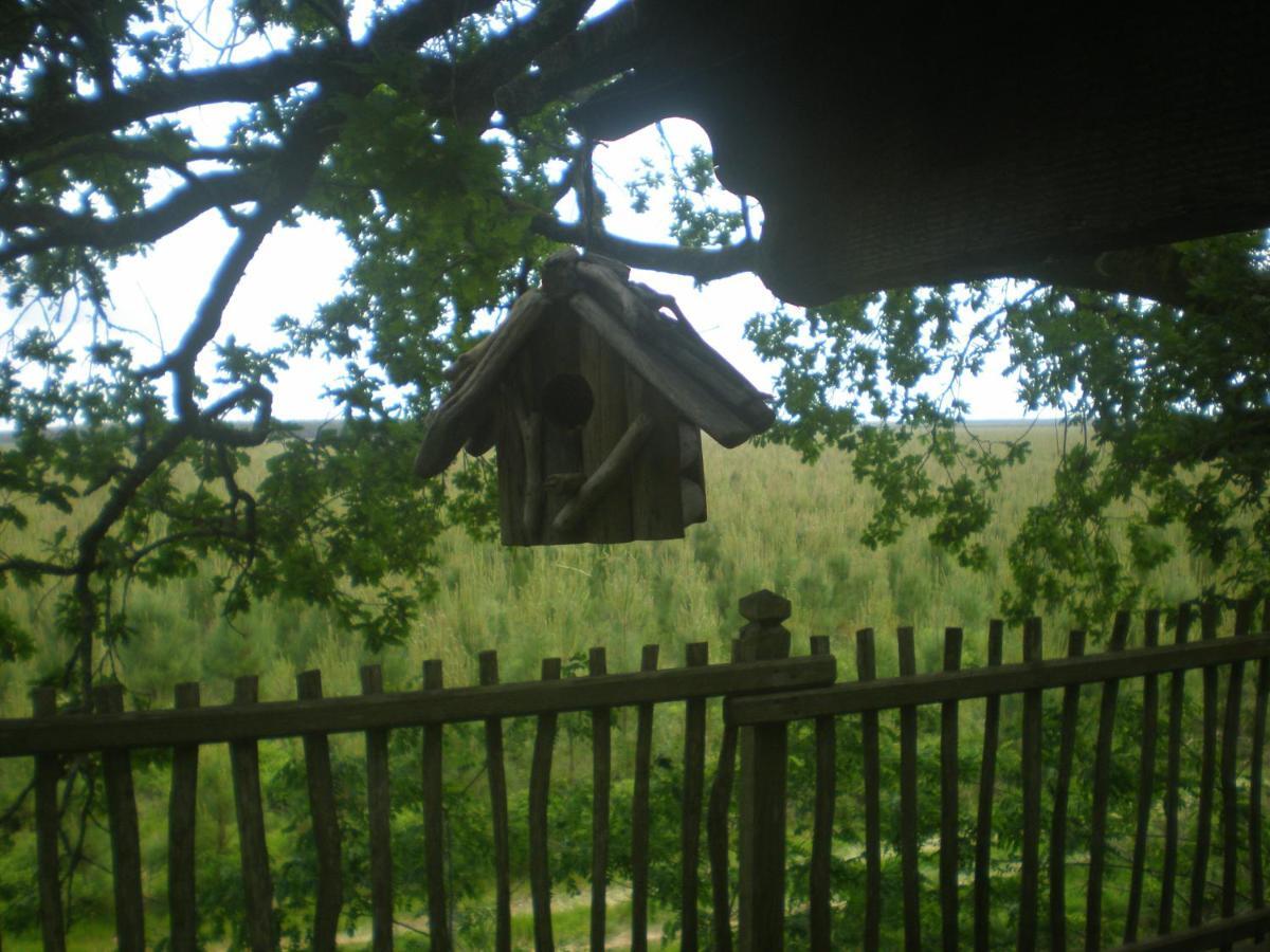 Cabane Perchee Solférino 외부 사진